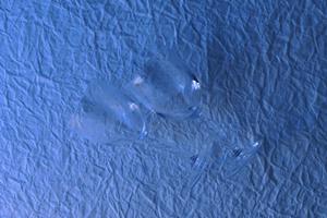 全室DAM完備！カラオケ ビッグエコーの魅力と店舗情報